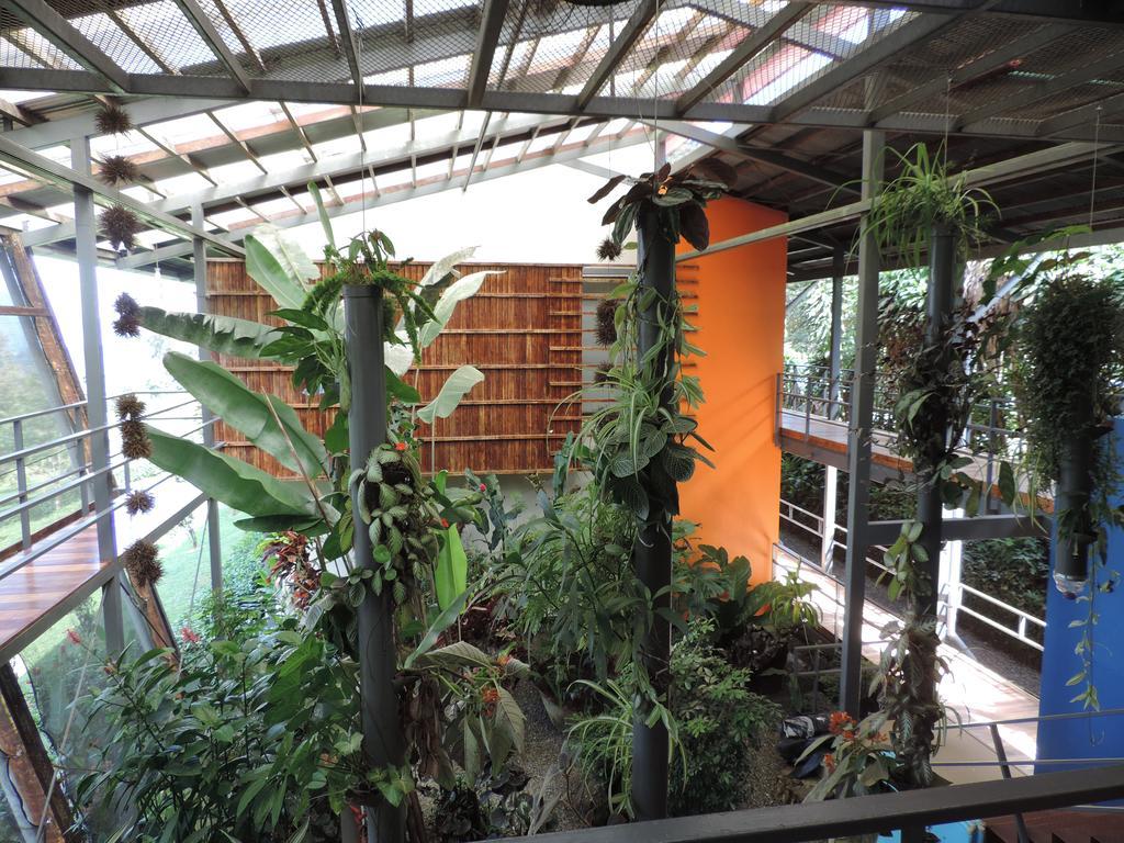 Celeste Mountain Lodge Bijagua de Upala Exterior foto